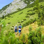 Wenger Alpenhof Hotel Werfenweng