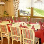 Wenger Alpenhof Werfenweng