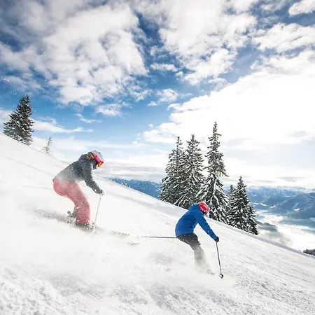 Apart Hotel Alpenhof Werfenweng Отель Верфенвенг