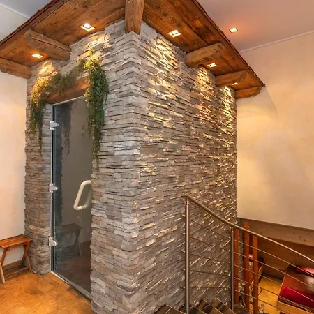Apart Hotel Alpenhof Werfenweng Hotel