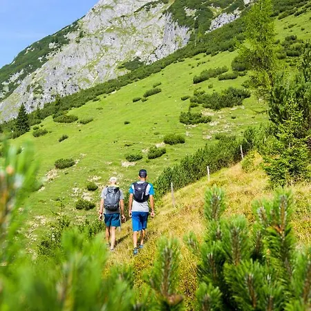 Alpenhof ホテル ヴェルフェンヴェンク
