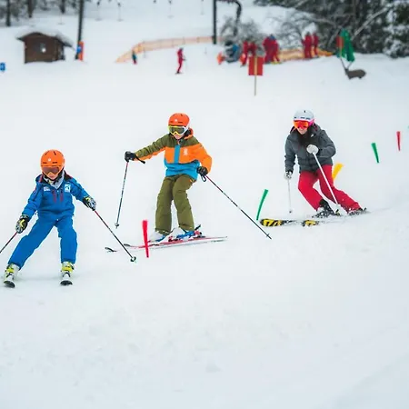 Отель Apart Hotel Alpenhof Werfenweng 3*