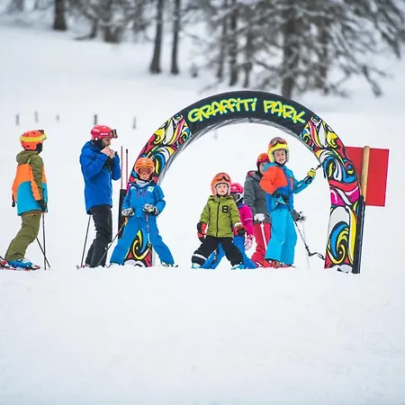 ホテル Alpenhof ヴェルフェンヴェンク