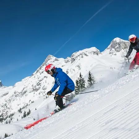 Apart Hotel Alpenhof Werfenweng