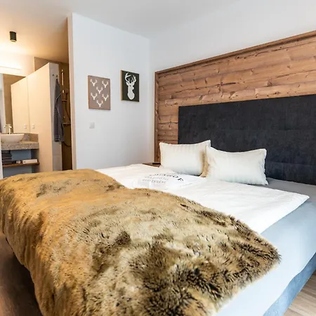 Apart Hotel Alpenhof Werfenweng Hotel
