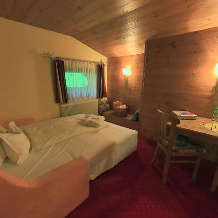 Apart Hotel Alpenhof Werfenweng