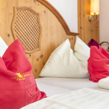 Apart Hotel Alpenhof Werfenweng Hotel 3*