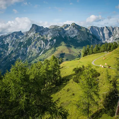 Alpenhof Aparthotel Werfenweng 3* Werfenweng
