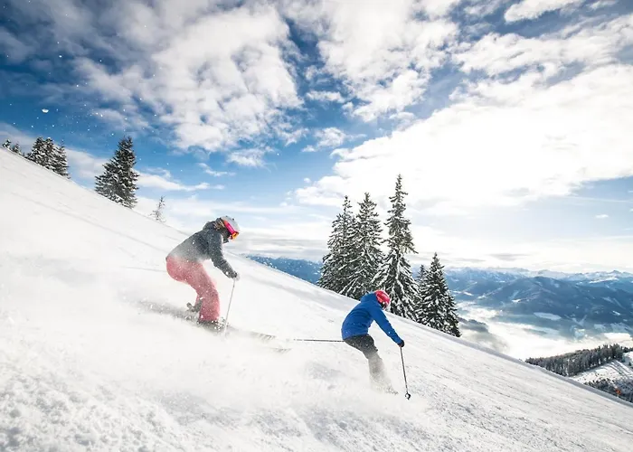 Alpenhof ホテル ヴェルフェンヴェンク