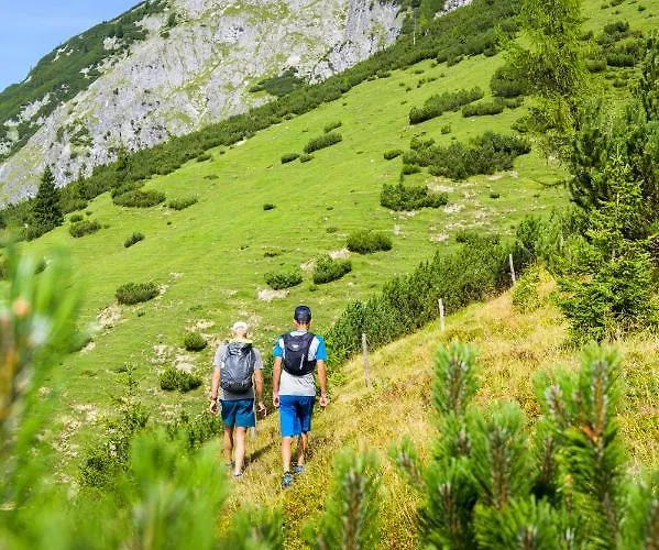 Alpenhof ホテル ヴェルフェンヴェンク