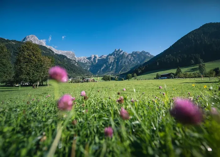 Alpenhof ホテル ヴェルフェンヴェンク