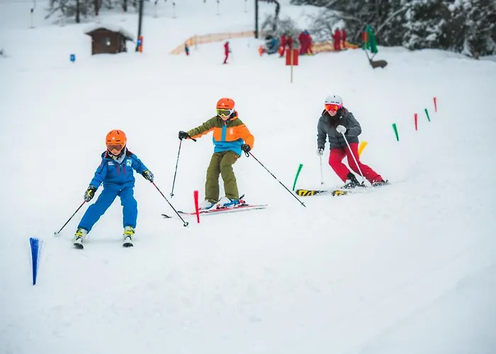 ホテル Alpenhof 3*