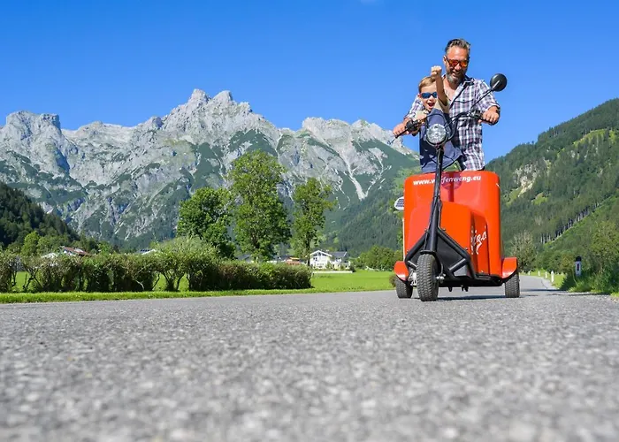 ホテル Alpenhof 3*