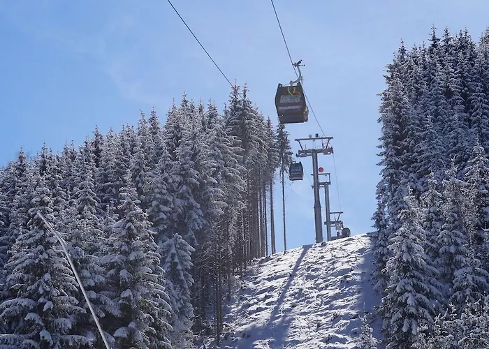 Alpenhof ホテル